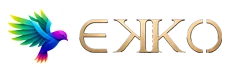 EKKO Silent Audio System